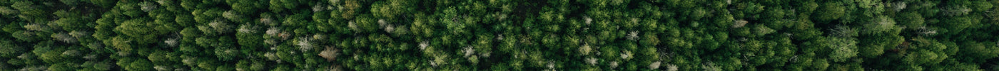 Debunking Myths: Is 'Sustainable' Wood Heating Sustainable?