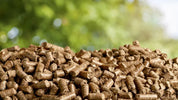 The Role Of Biomass Heat In Achieving Net Zero Emissions In The UK