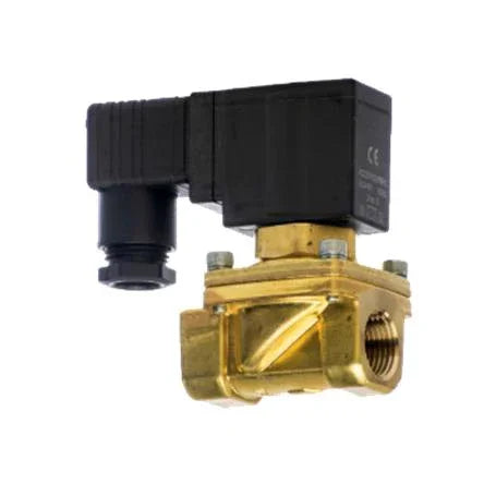 Burner Cleaning Solenoid - Domestic